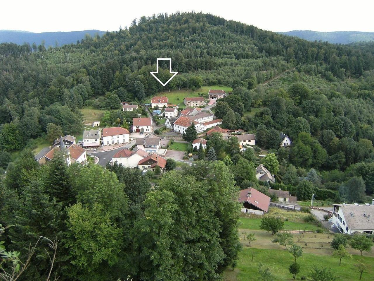 Aux 2 Lacs Chambres D'Hotes Pierre-Percée Dış mekan fotoğraf