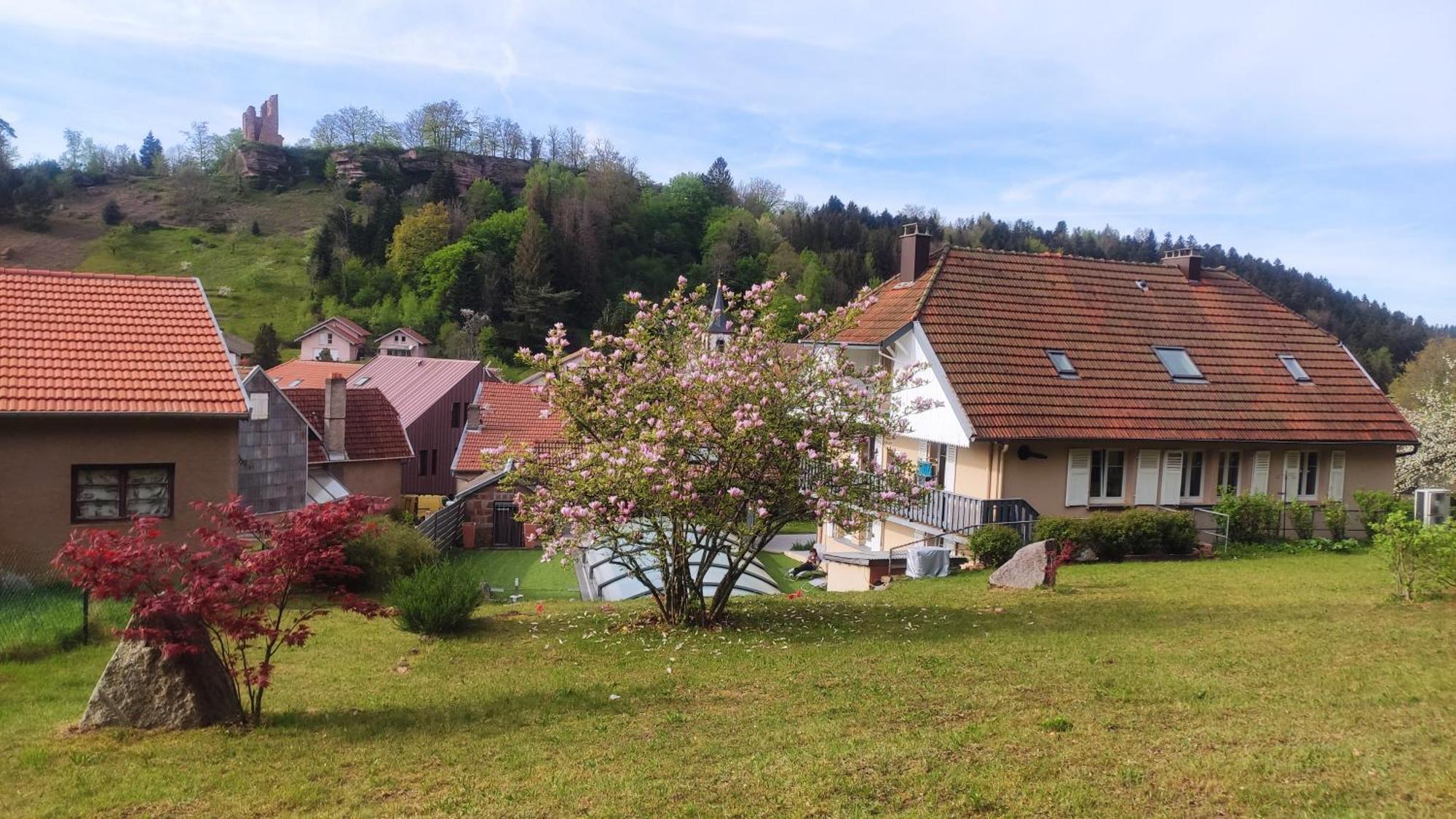 Aux 2 Lacs Chambres D'Hotes Pierre-Percée Dış mekan fotoğraf